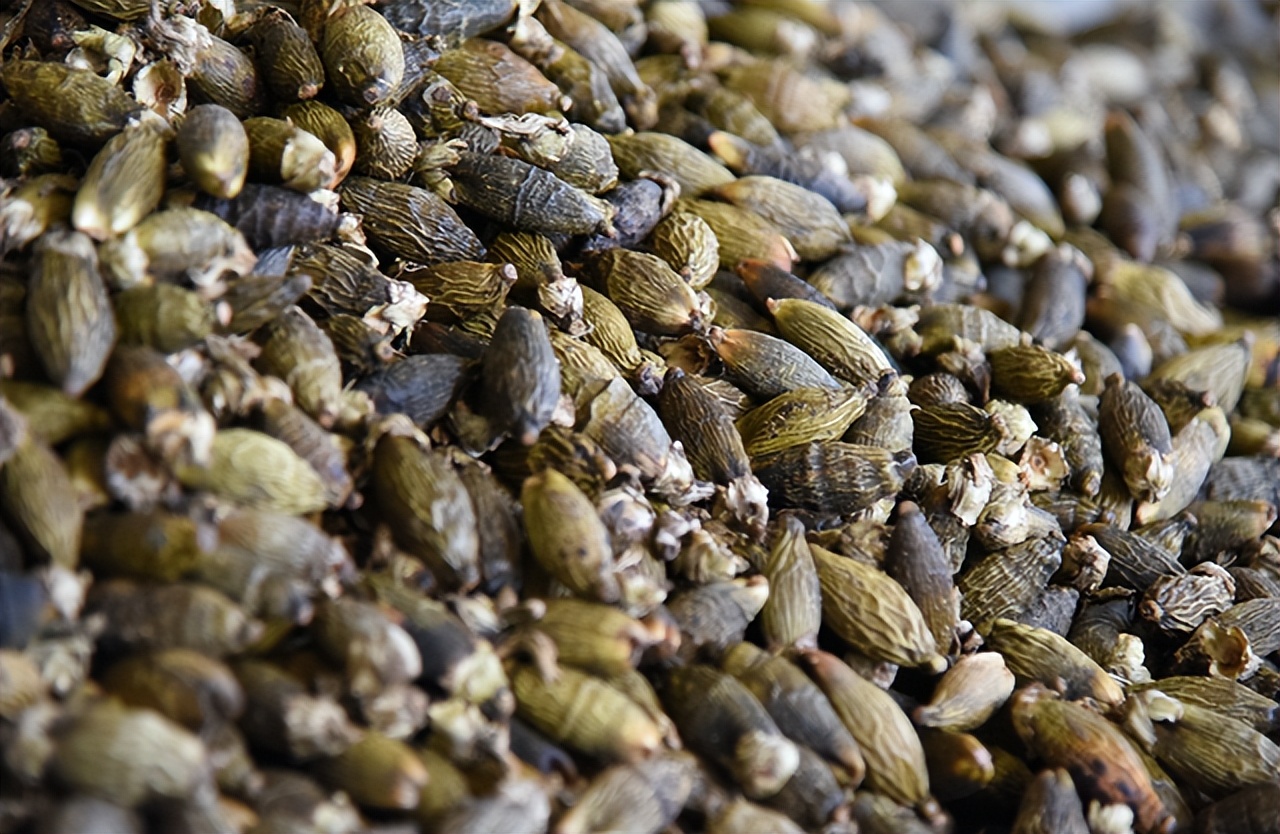 一级致癌物槟榔的危害有哪些,槟榔为什么被列为一级致癌物