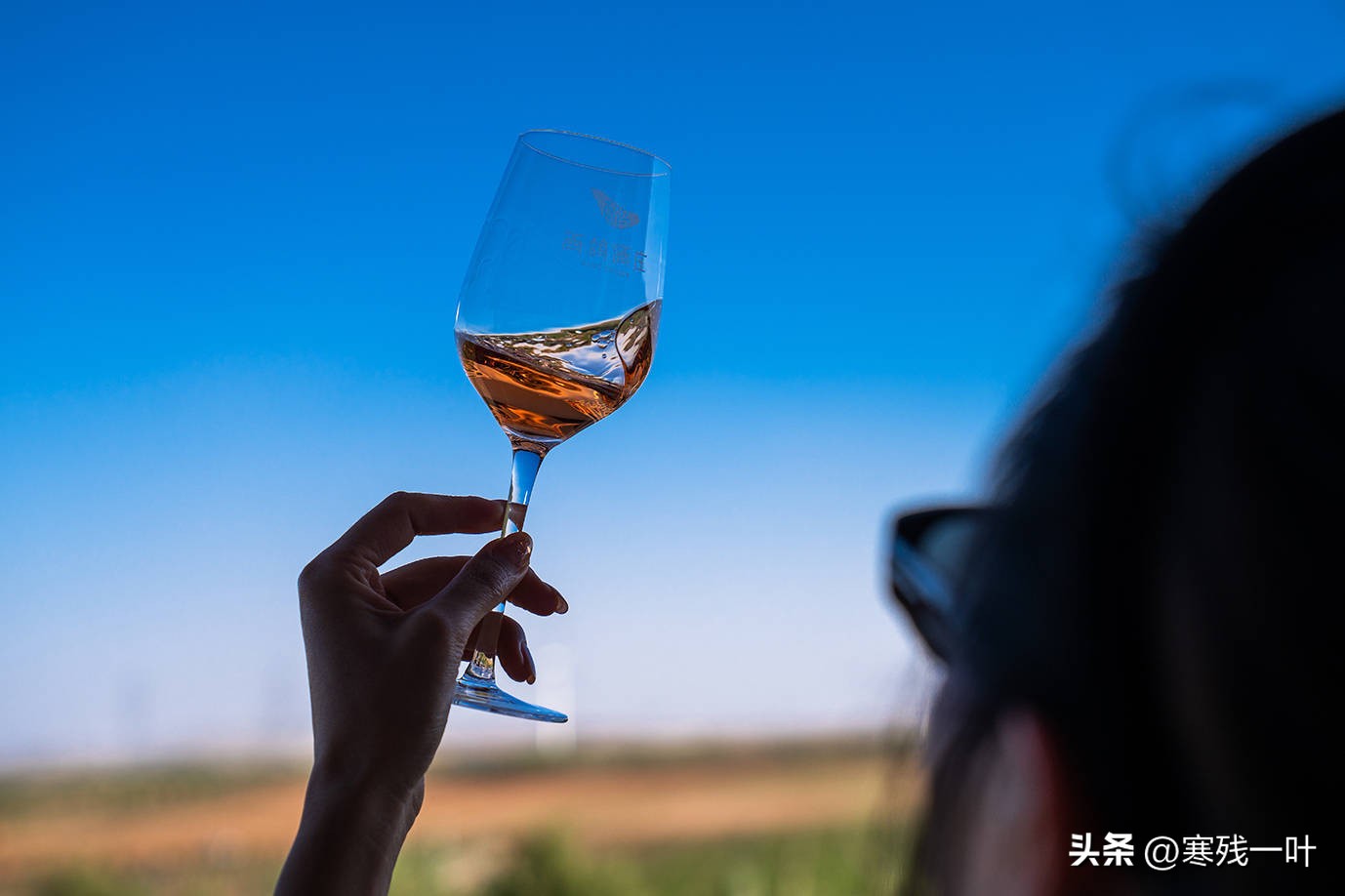 宁夏酒庄旅游景点大全,花6亿打造葡萄酒