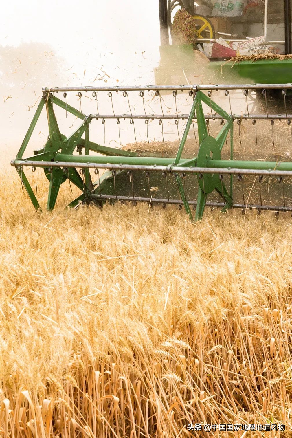 中国方便面市场份额图,全国各地方便面图鉴