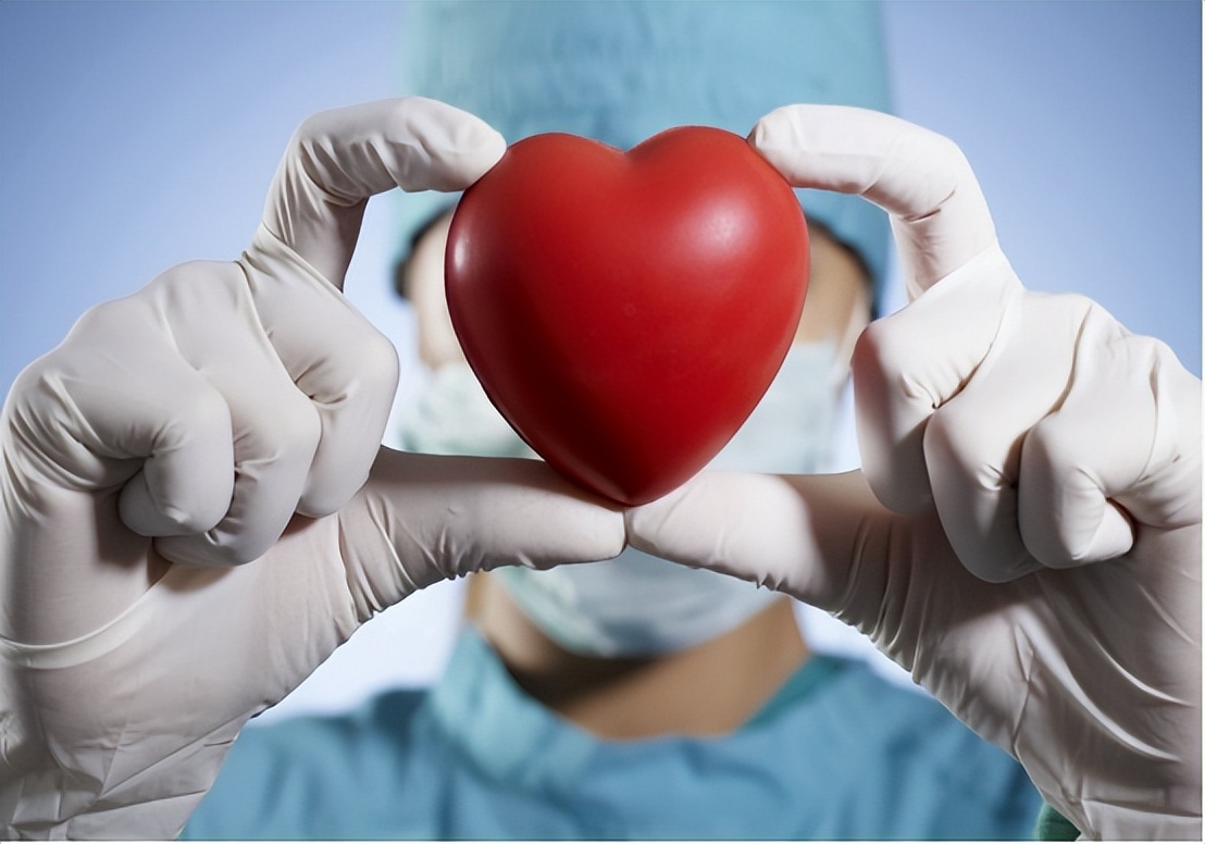 心跳快慢对寿命有影响吗,心跳快慢和寿命对照表