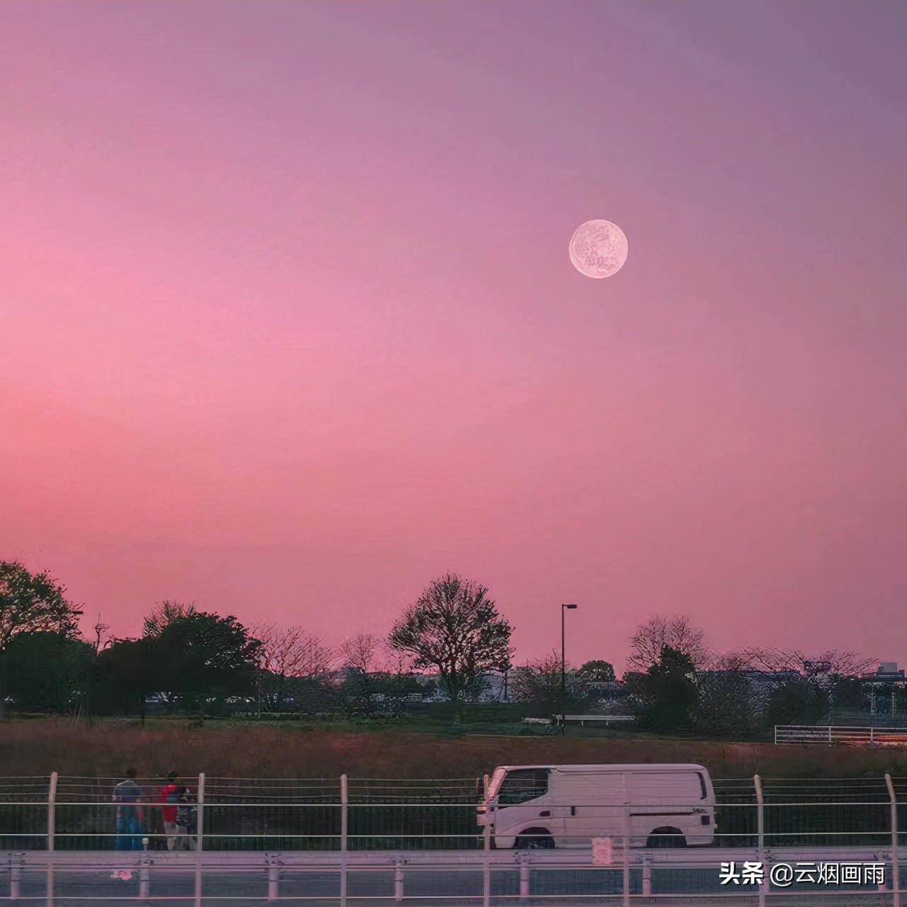 每日一句今日打卡,每日一句打卡文案