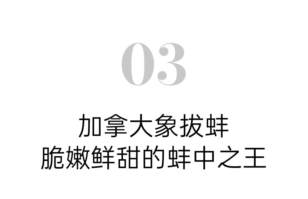 简单易做又美味的海鲜料理,经典海鲜料理100例