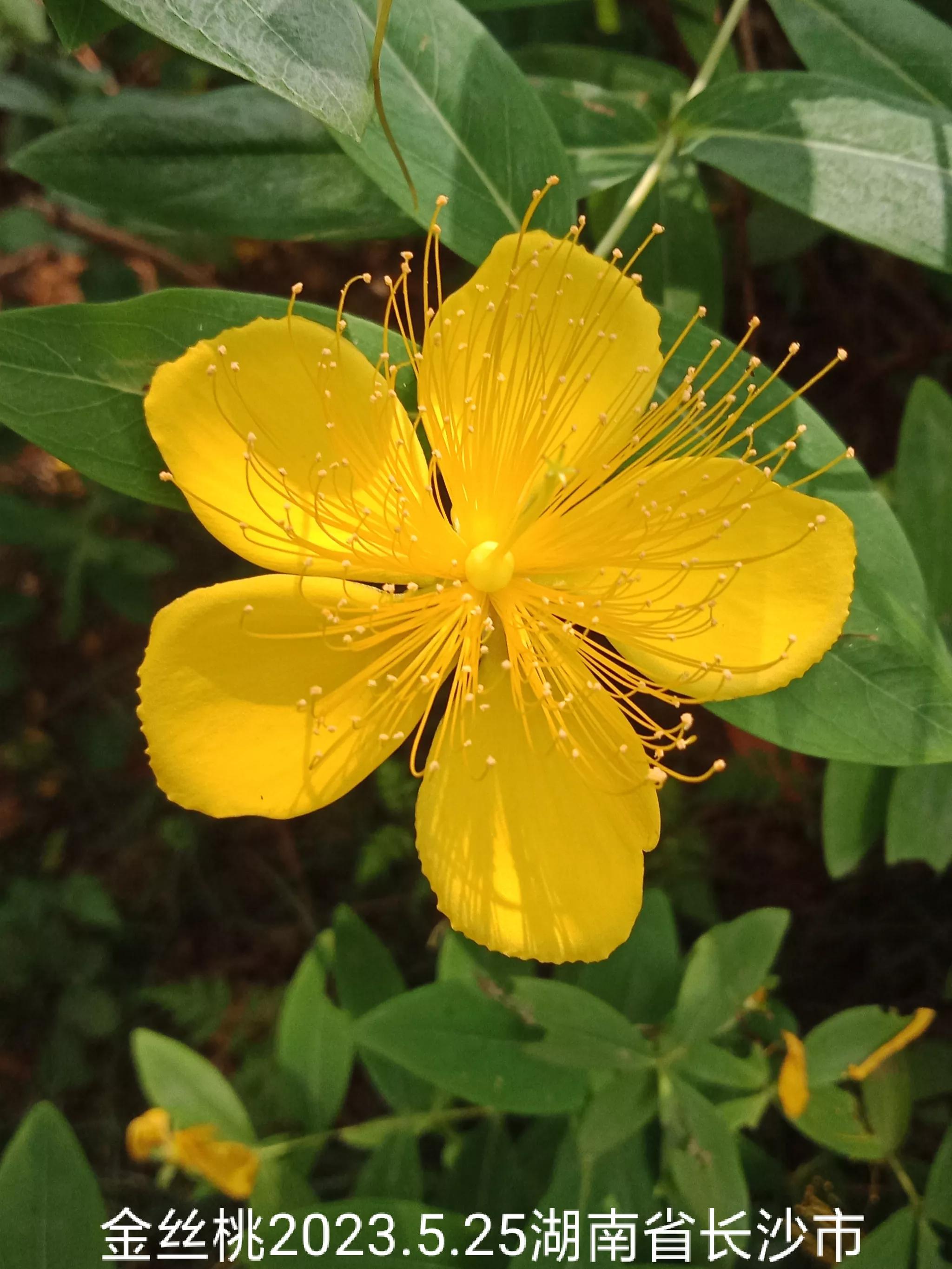 微信群忘保存找不到怎么办,微信群没保存通讯录丢失怎么找回