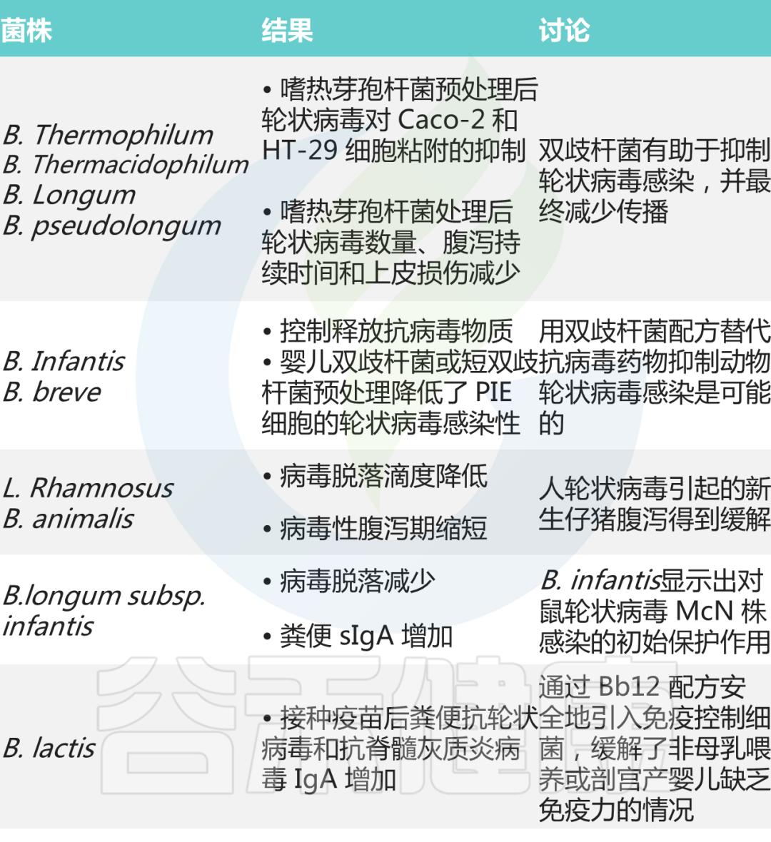 肠道双歧杆菌的功效及作用,双歧杆菌属于肠道的有益菌吗