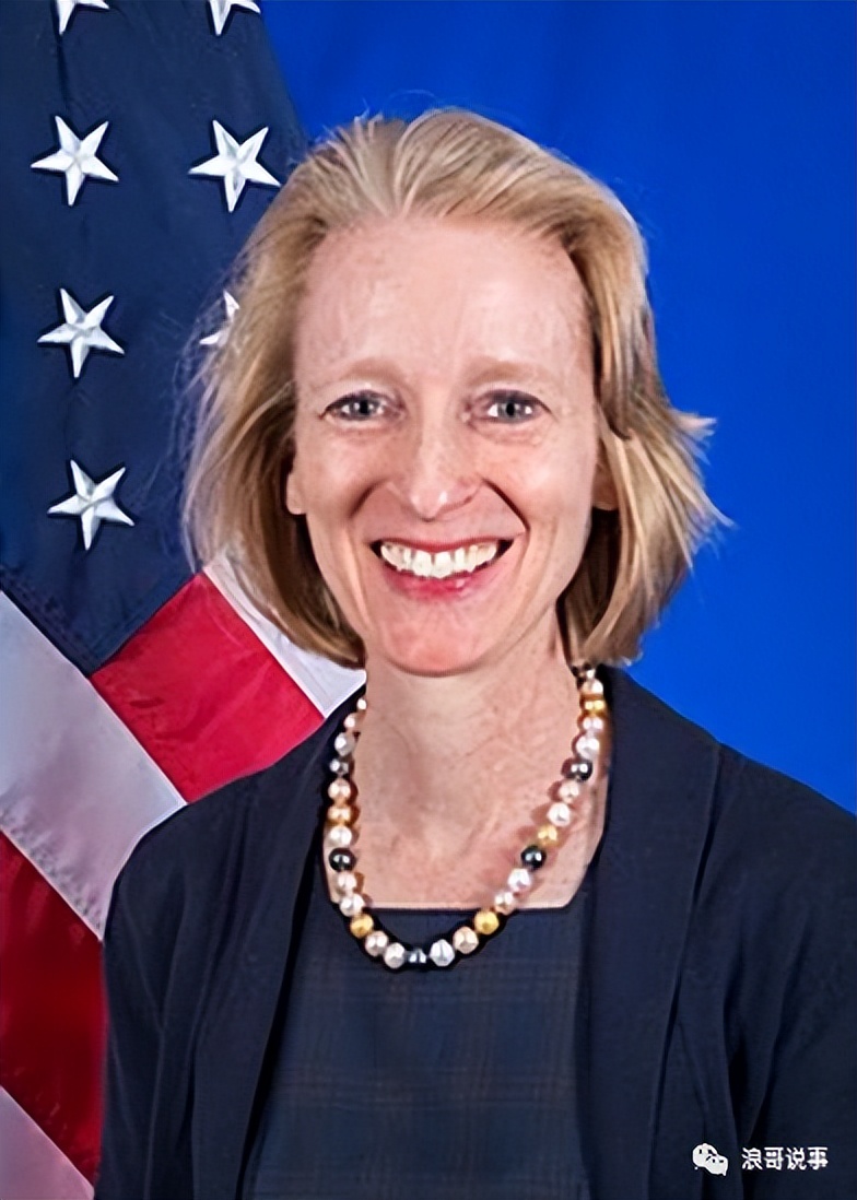 国务院情报研究所,国务院情报研究司