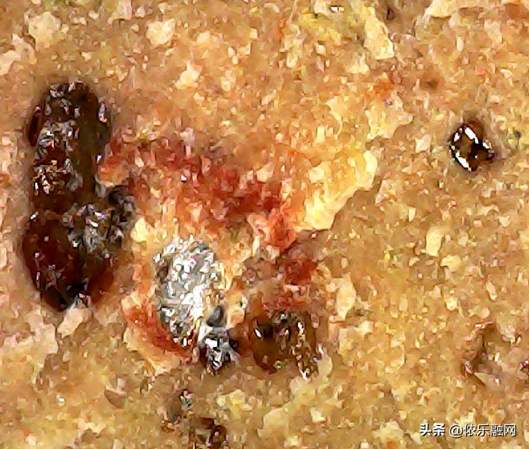 深色基质的都是碳质球粒陨石吗,红色基质黑色球粒是什么陨石