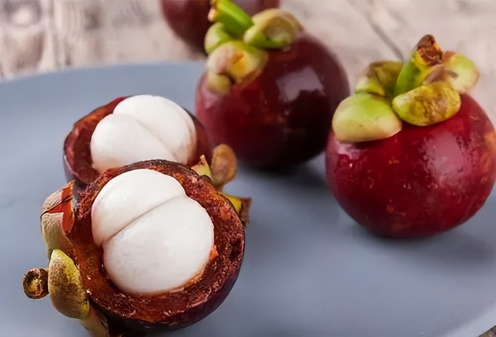 山竹详细资料,墨西哥山竹