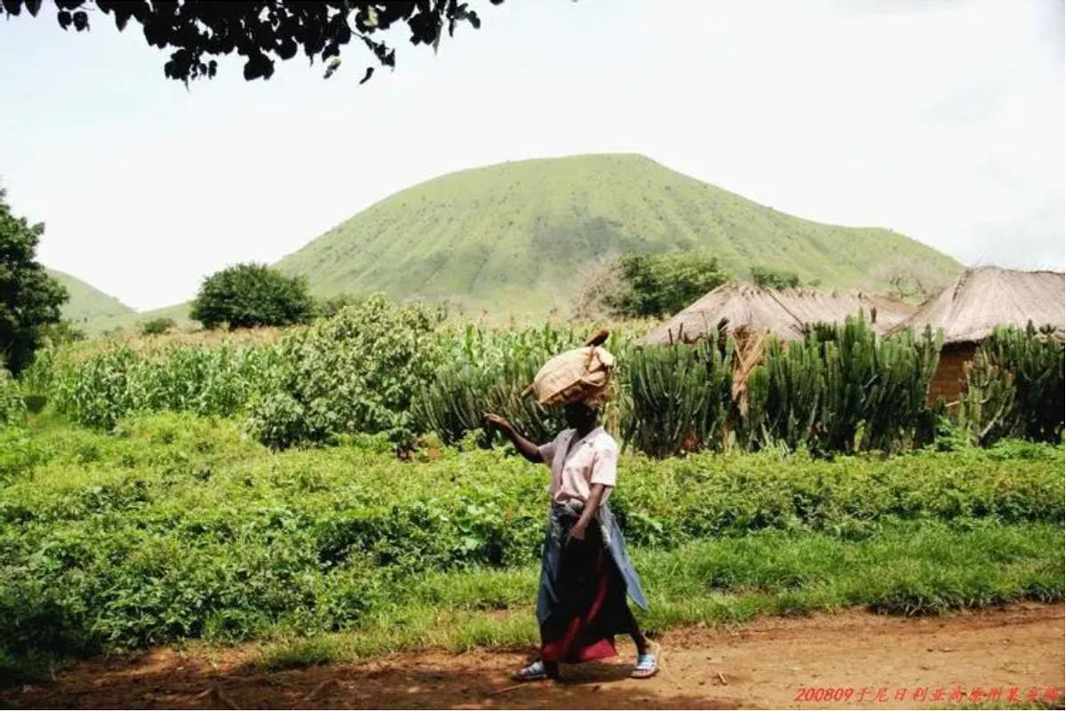 尼日利亚音乐特点,尼日利亚民族文化