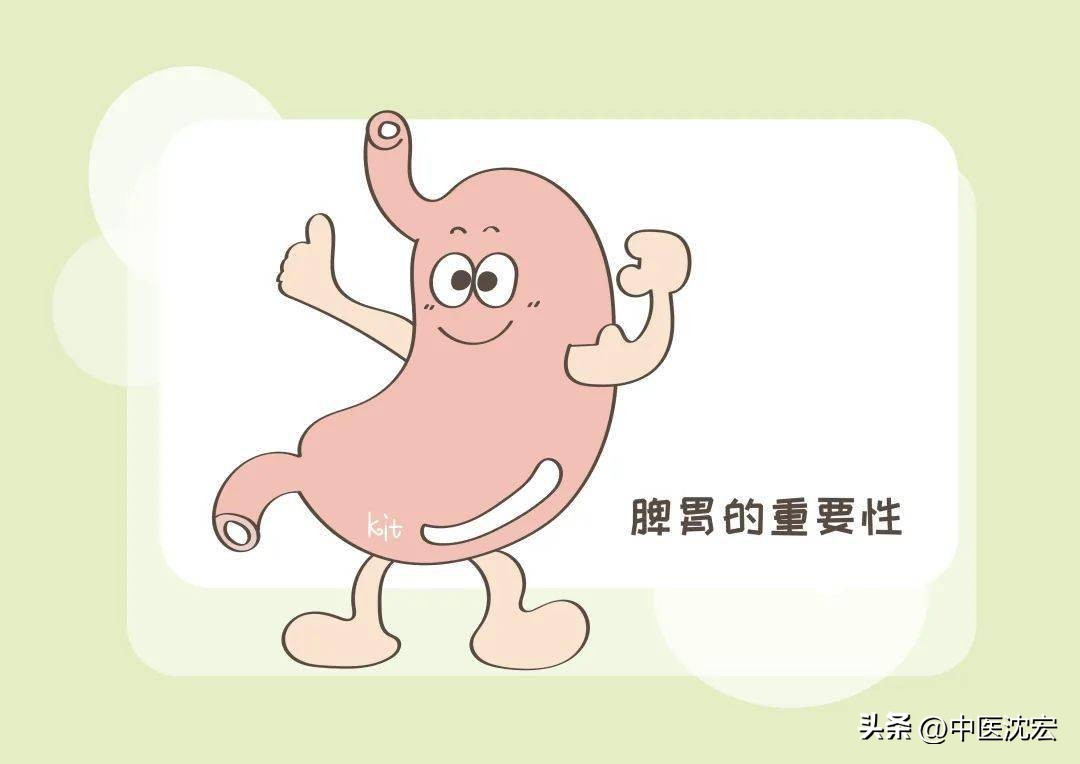 调养脾胃百病消中医帮你出妙招,百病生于气如何养气