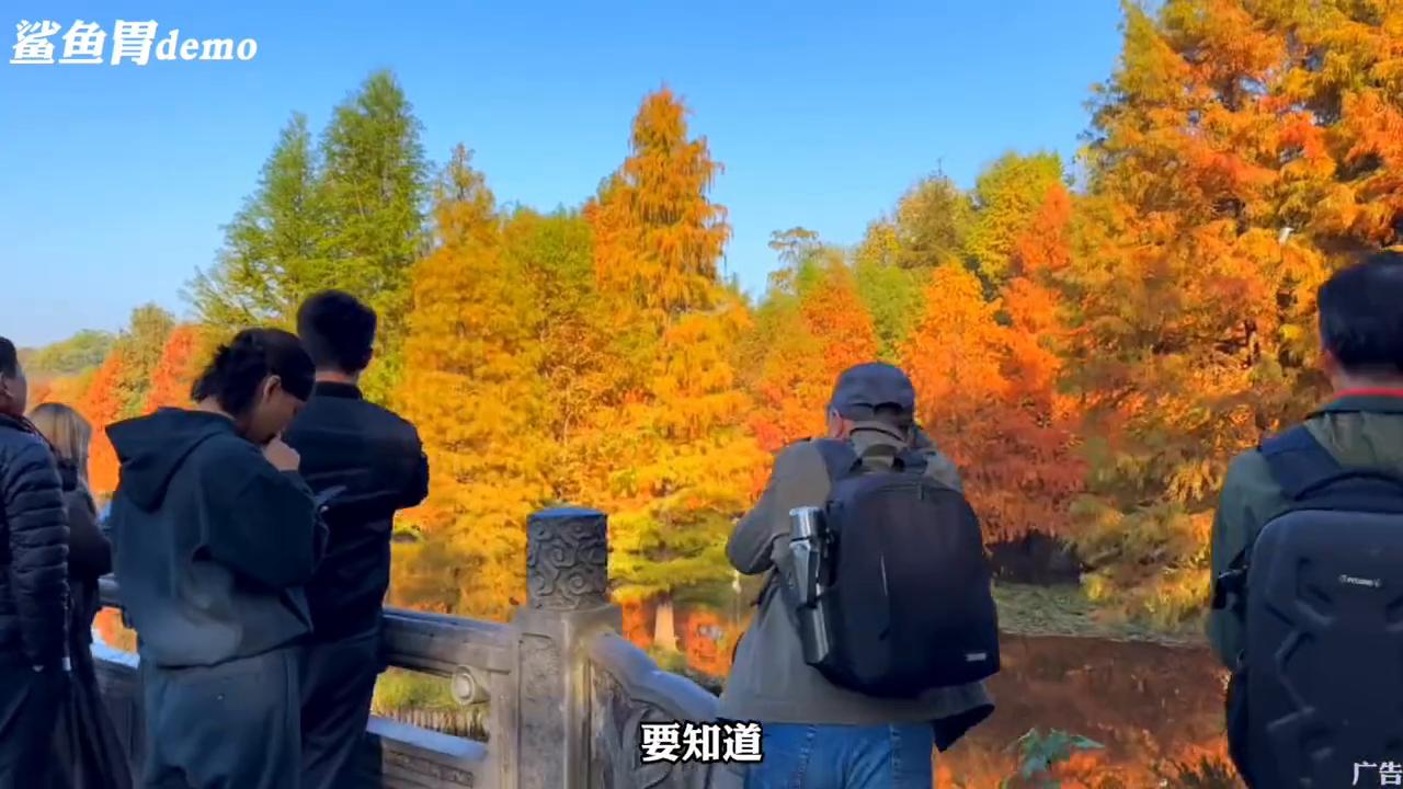 南京钟山风景区一日游最佳路线,南京钟山旅游一天必玩三大景点