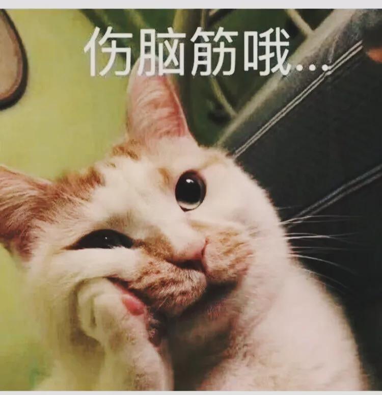 如何应对没有道德底线的人,对没有道德底线的人怎么说