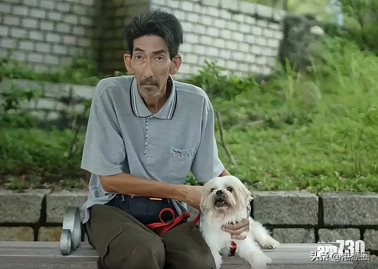 香港老一辈演员来大陆,老一辈香港明星现身综艺节目