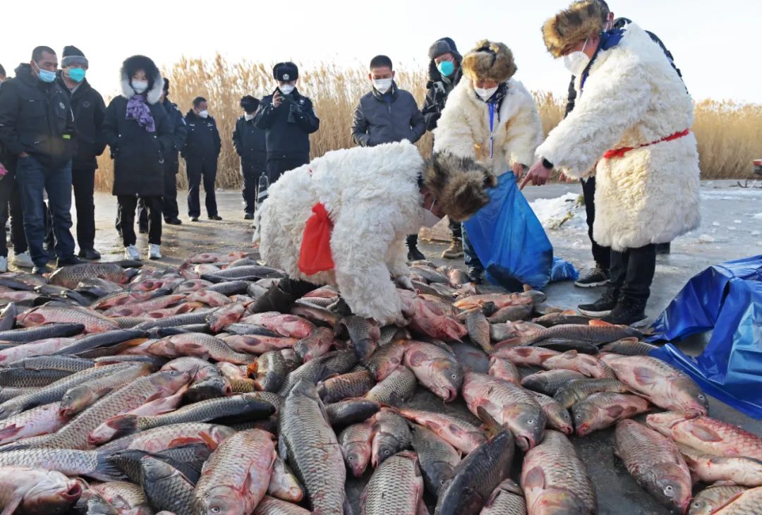 乌梁素海冰雪嘉年华,舞狮舞龙表演比赛