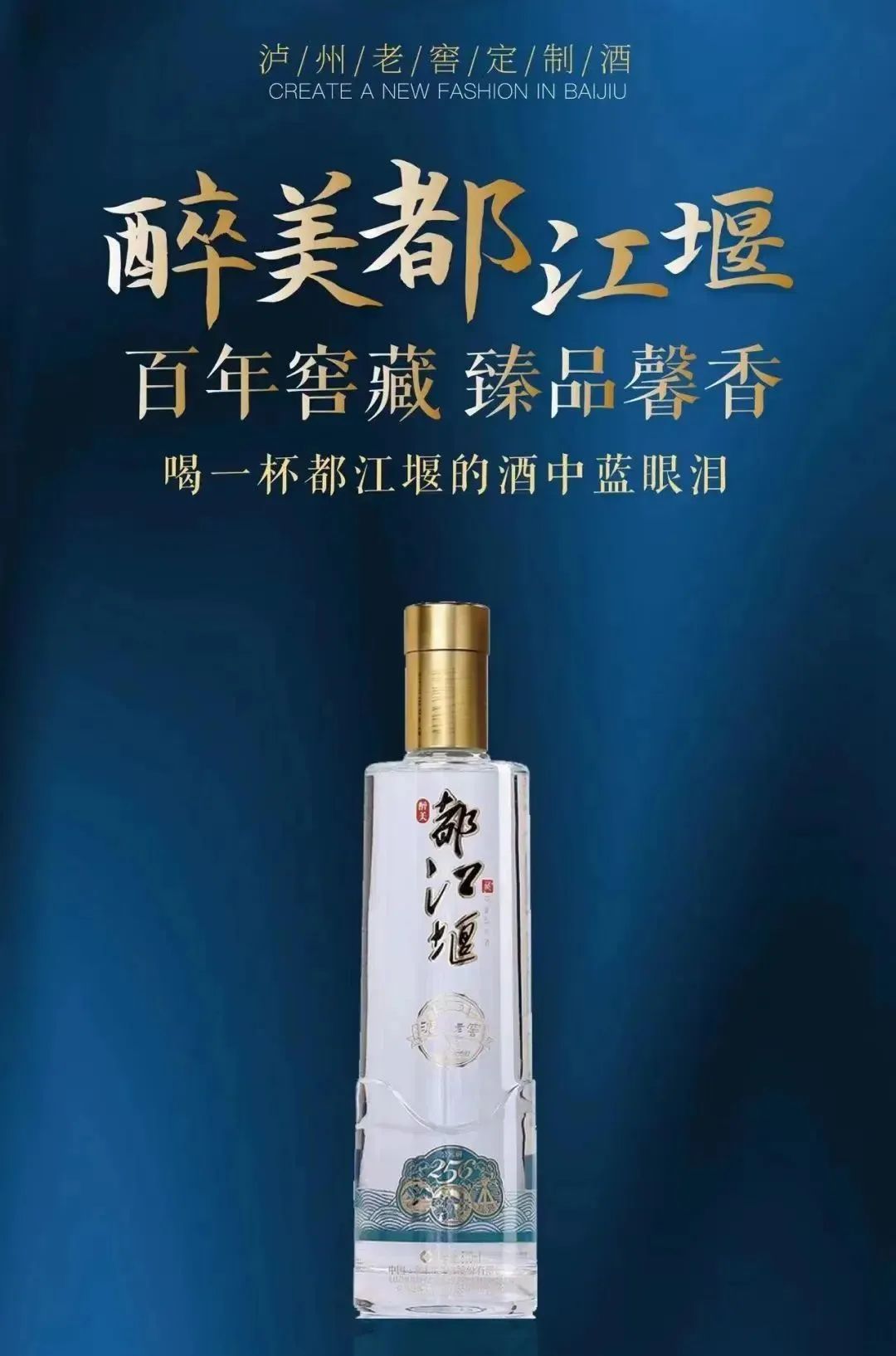 酒城泸州介绍,酒城泸州简介