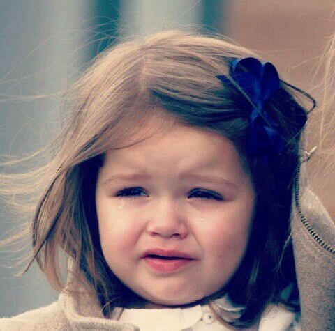 贝小七被宠上天,贝小七成长