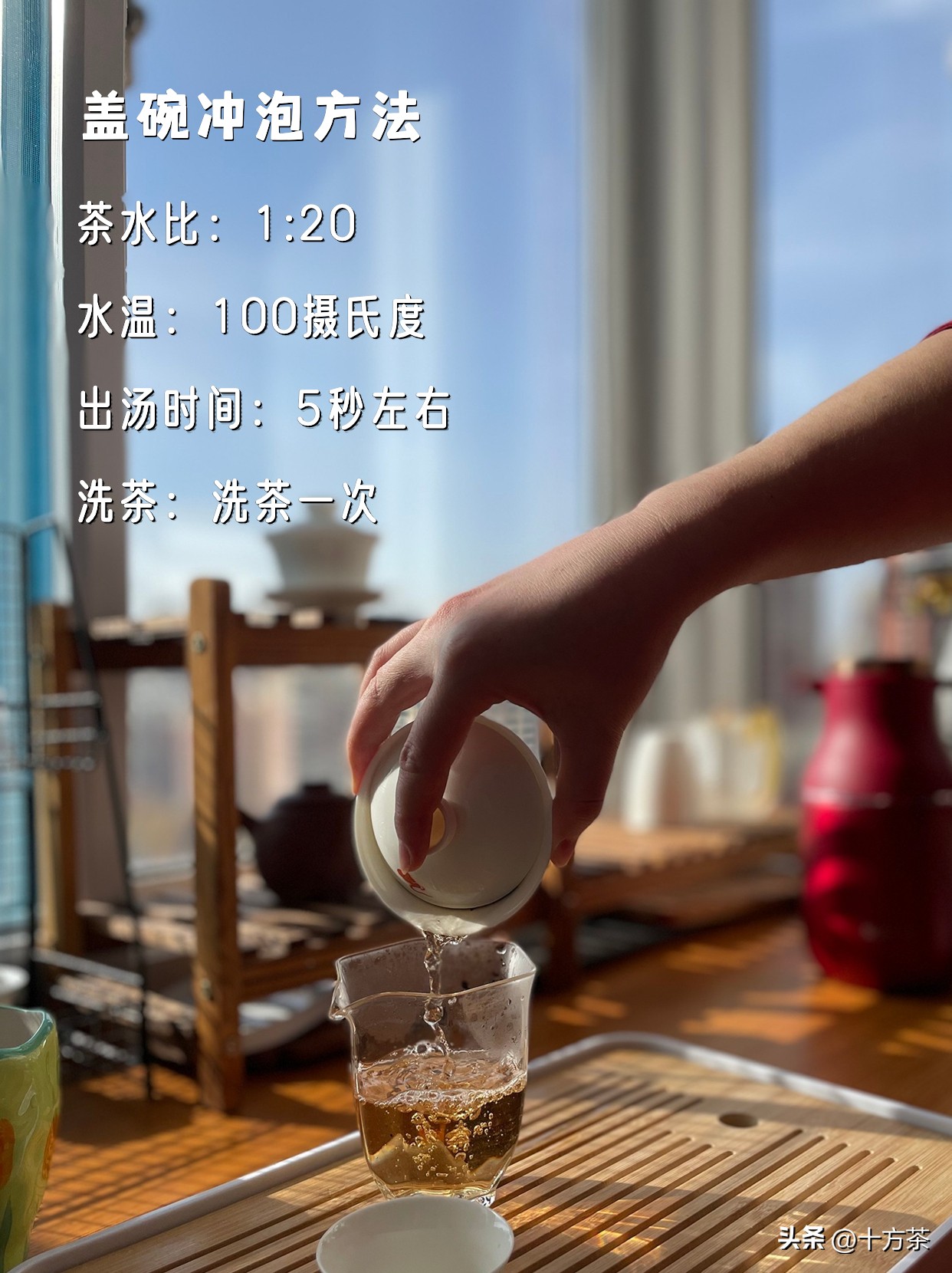 特级正宗铁观音海堤,厦门海堤特级铁观音