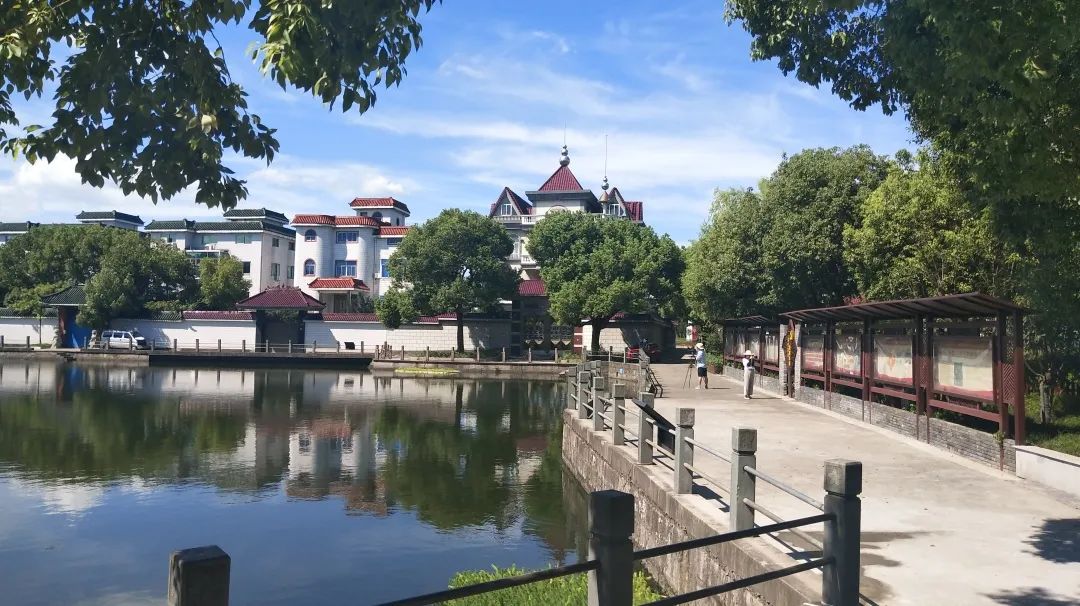 红黑榜出炉！绍兴点名曝光10个“蜗牛村”，有你老家吗？