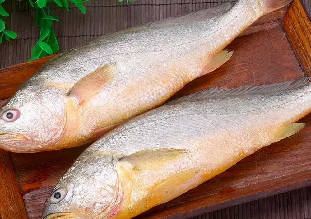 便宜野生的深海鱼有哪些,菜市最常见的深海鱼