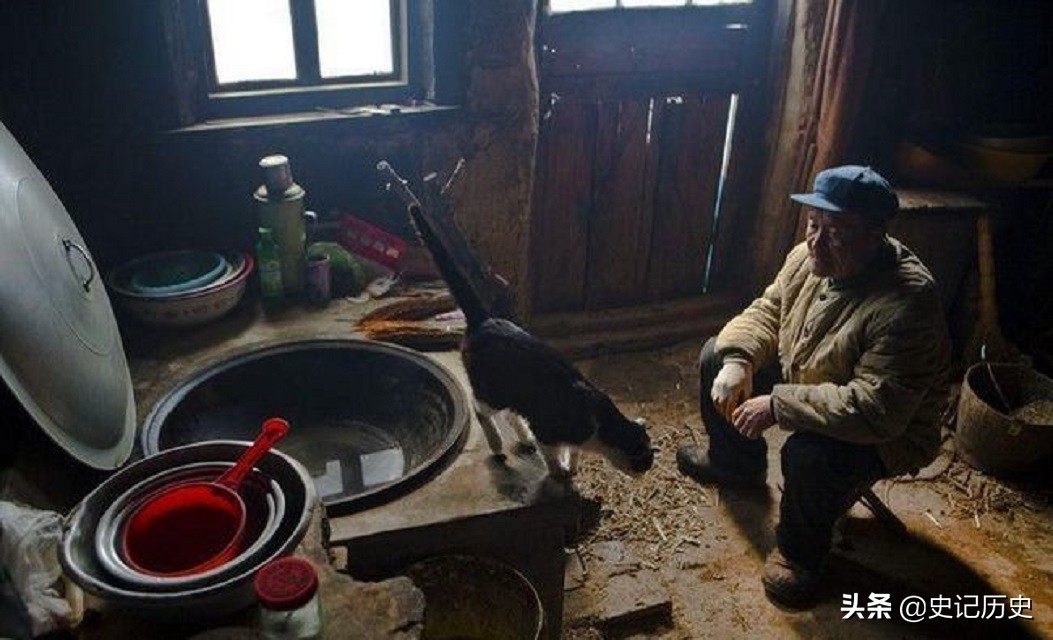 儿媳妇被误会跟公公睡觉，跳下山崖自杀，打开棺材人们恍然大悟