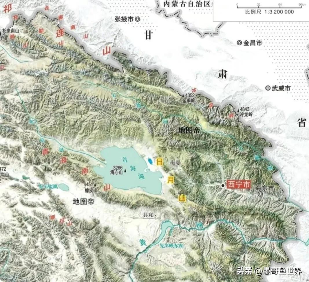 青海湟鱼那么多为什么要保护,救命的青海湖湟鱼