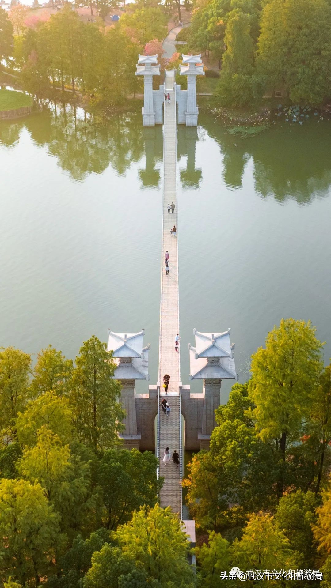 明天出太阳，到东湖捡叶子去！