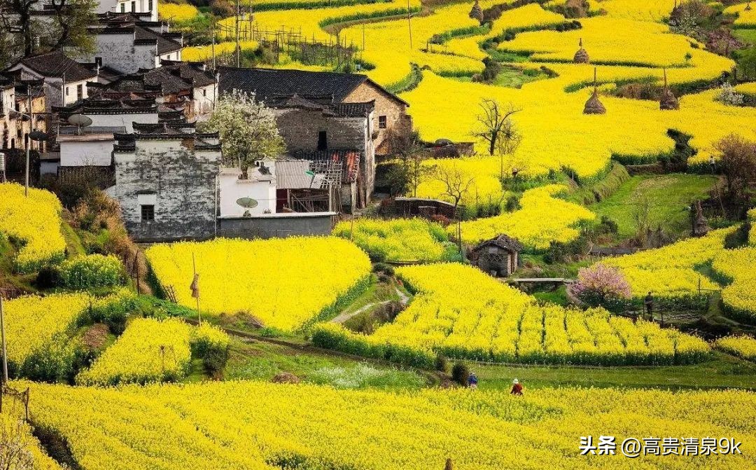 鐭湡鏃呮父鏀荤暐閰掑簵鎺ㄨ崘,涔愬北灏忎紬韪忔槬鎵撳崱鍦扮偣鎺ㄨ崘