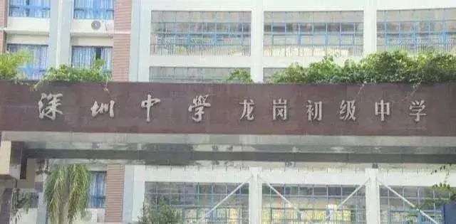 深圳深中龙岗初级中学学区划分,深圳龙岗同乐社区初中学区划分图