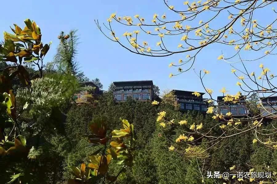 整村打造基本要求,整村开发