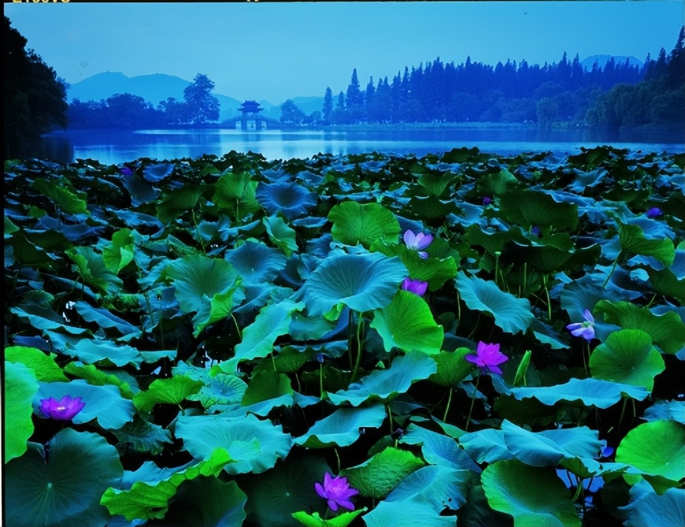 西湖美景再现许仙与白娘子,雷峰塔是杭州西湖最著名的景点
