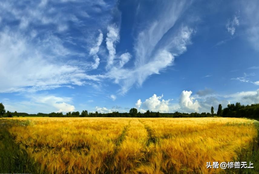 请人吃饭会消除自己的福报吗,别人请你吃饭谨记这三点