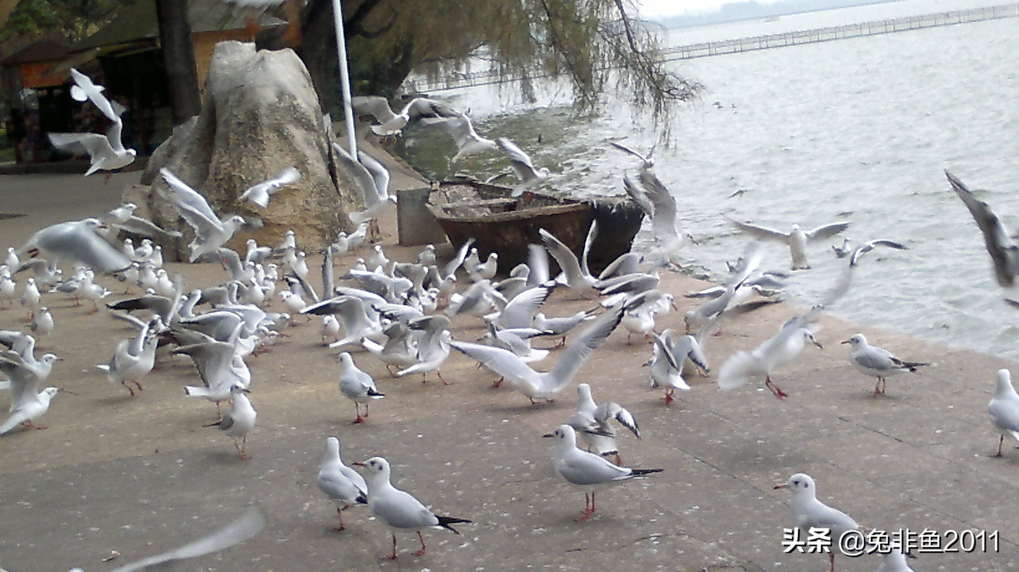 云南腾冲滇峰之旅,云南瑞丽中缅边境一日游