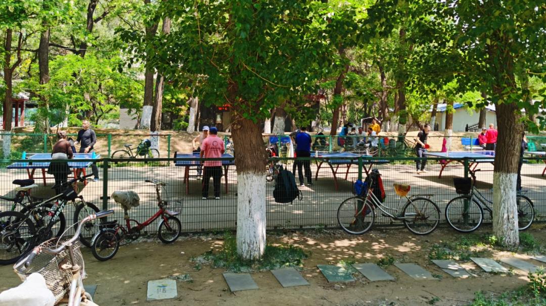 养狗人的视频,养狗人皮肤过敏的症状和表现