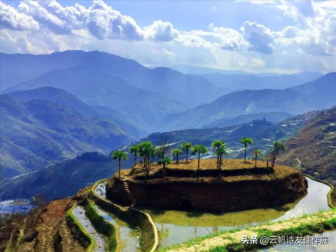 云帆诗会官网,云帆诗会第48期完整版