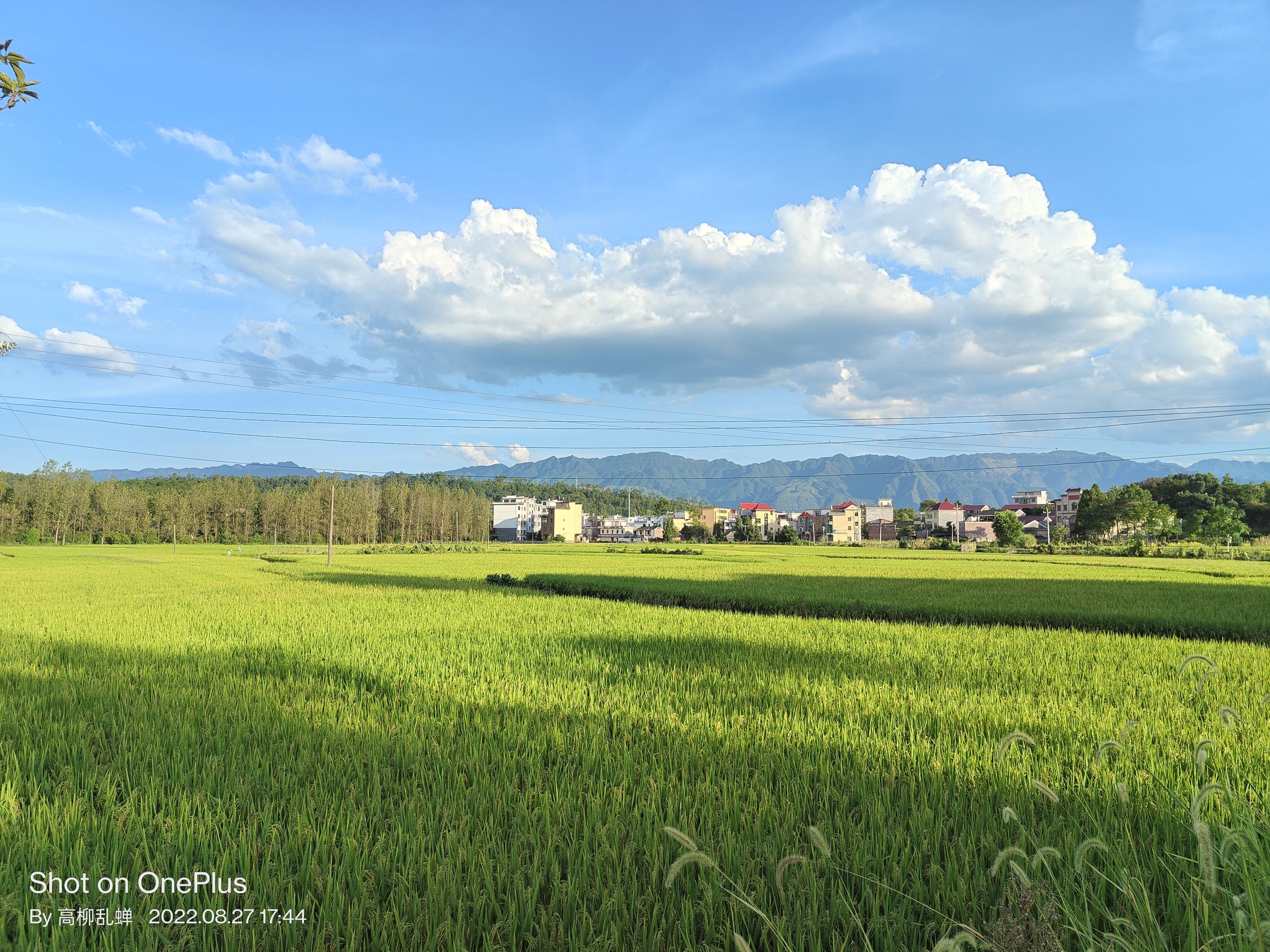 一加acepro和一加ace区别在哪,一加ace2pro和一加ace2oneplus的区别