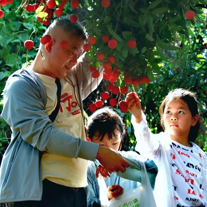 深圳光明城到香港一日游最佳攻略,港车北上国内自驾游视频
