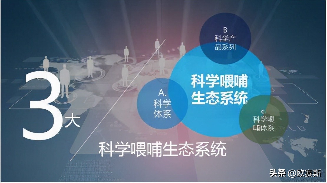 国际一线品牌在哪里进货,如何进行国际市场定位