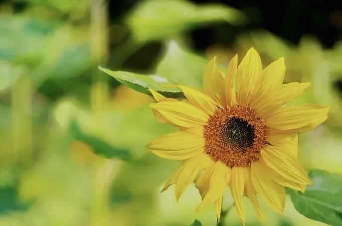 被迫加班,被迫加班的人