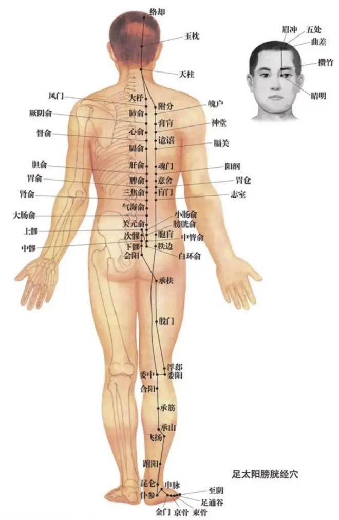 哺乳期肩膀疼痛要警惕的三种病,哺乳期肩膀疼怎么缓解最快最有效