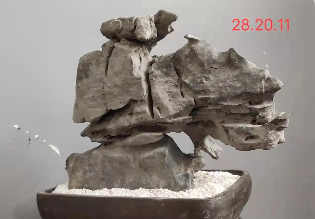 天然太湖石原石小摆件直播,太湖石原石用什么抛光