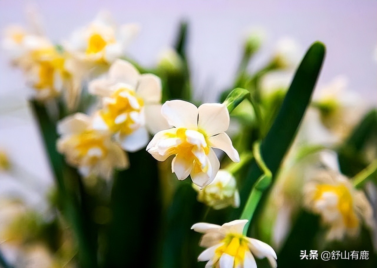 如何看出人有富贵之相,有贵相的人命运