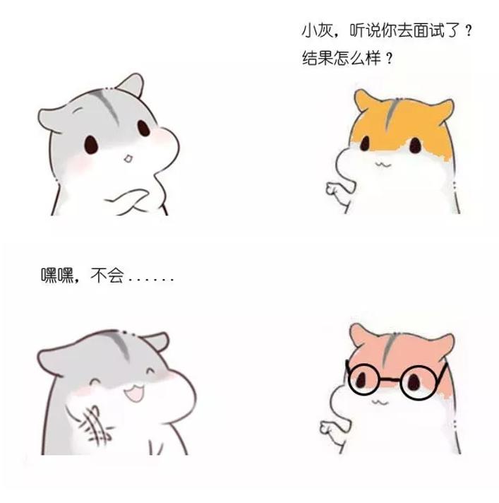 程序员该不该去培训机构,程序员外包公司