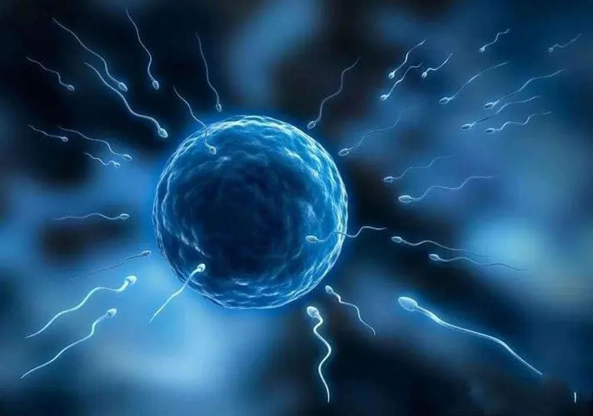 人工授精专用针管,英国妇女试管婴儿