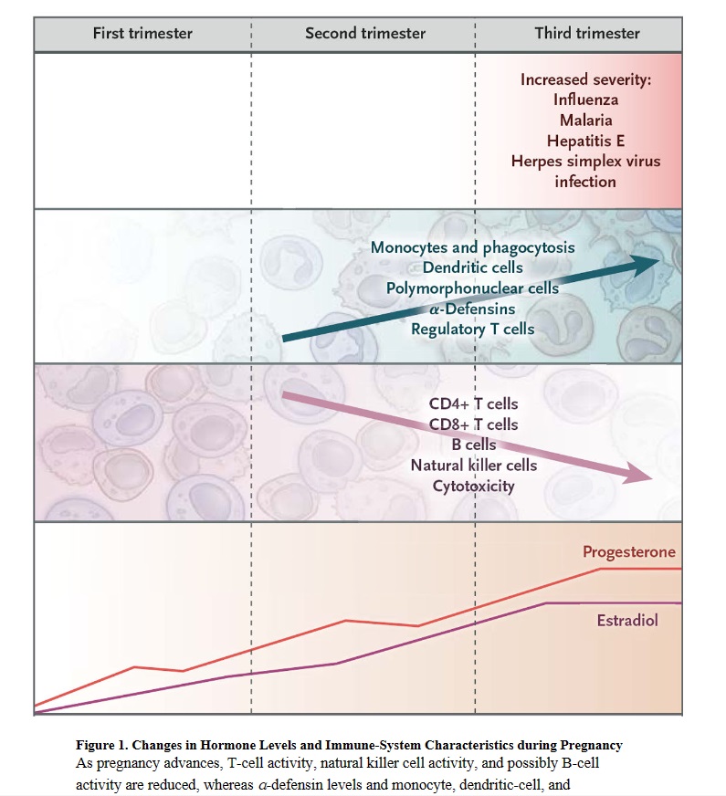 孕期怎么避免感染,孕期宫颈息肉出血怎样预防感染