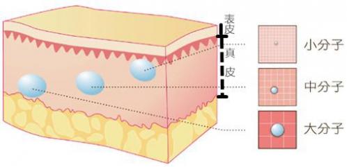 长期使用十大玻尿酸原液,用了那么多年的护肤品你年轻了吗