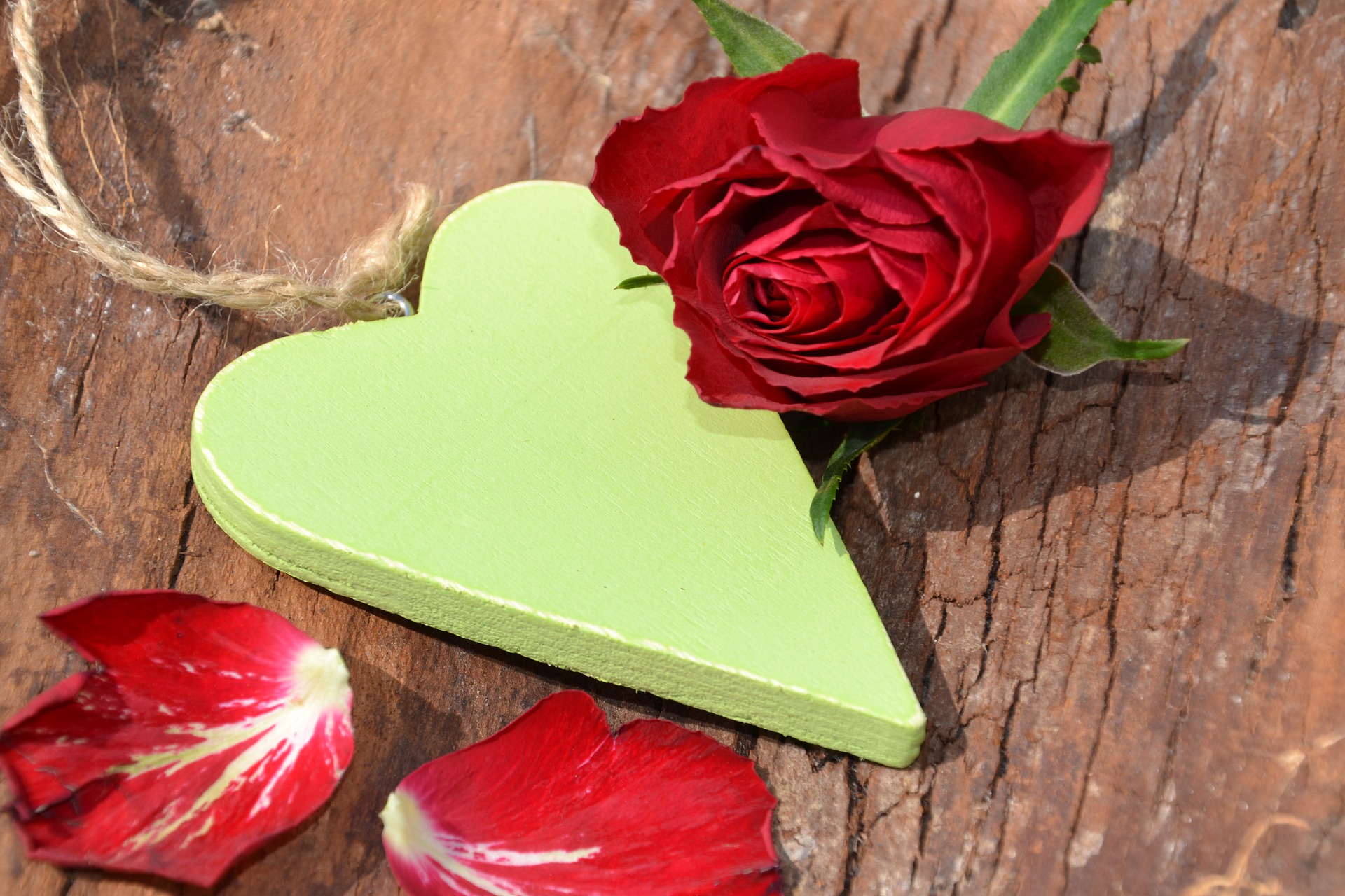 女人不理你该怎么办的视频,女人不理你会怎么样