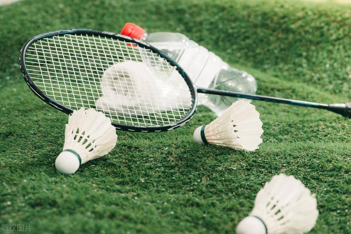 哪款羽毛球拍性价比最高,yy羽毛球拍哪款性价比最高