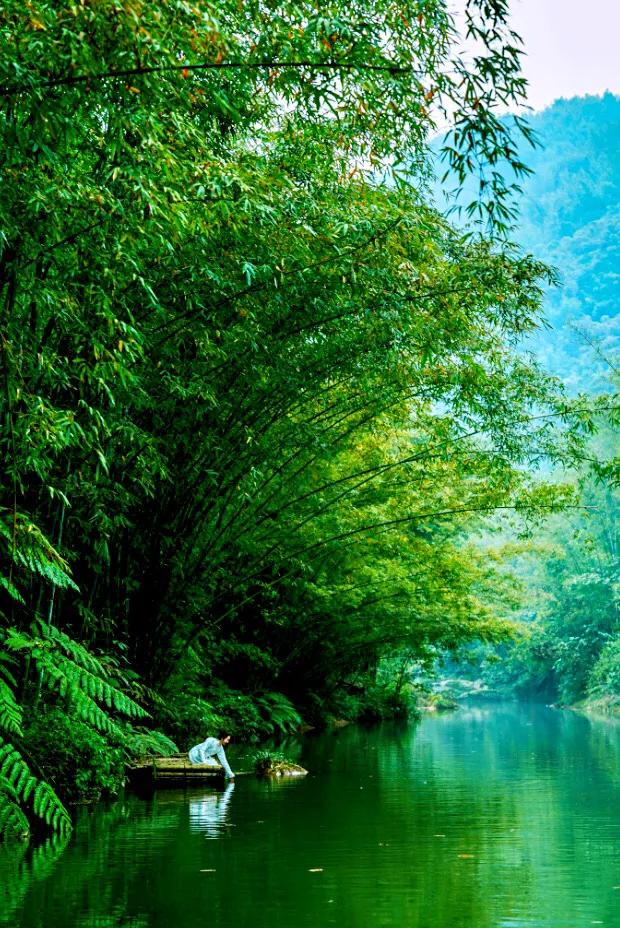 咏竹草古诗二十六首,咏竹原创诗词图片