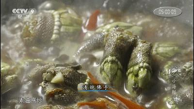 在浙江吃藤壶，还以为吞了个鬼手