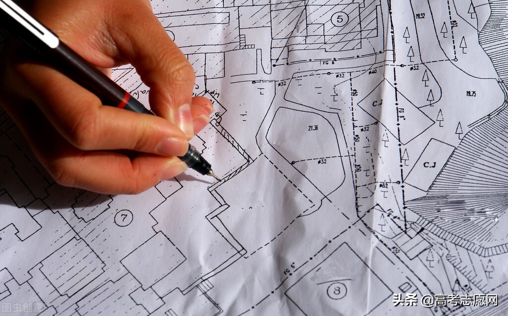 如何选择靠谱的大学专业,大学常见专业解读