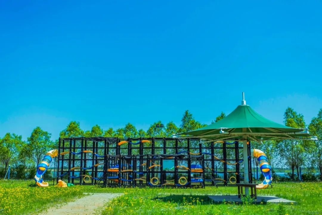 湿地可以开发什么旅游项目,黑龙江旅游必去十大湿地排名